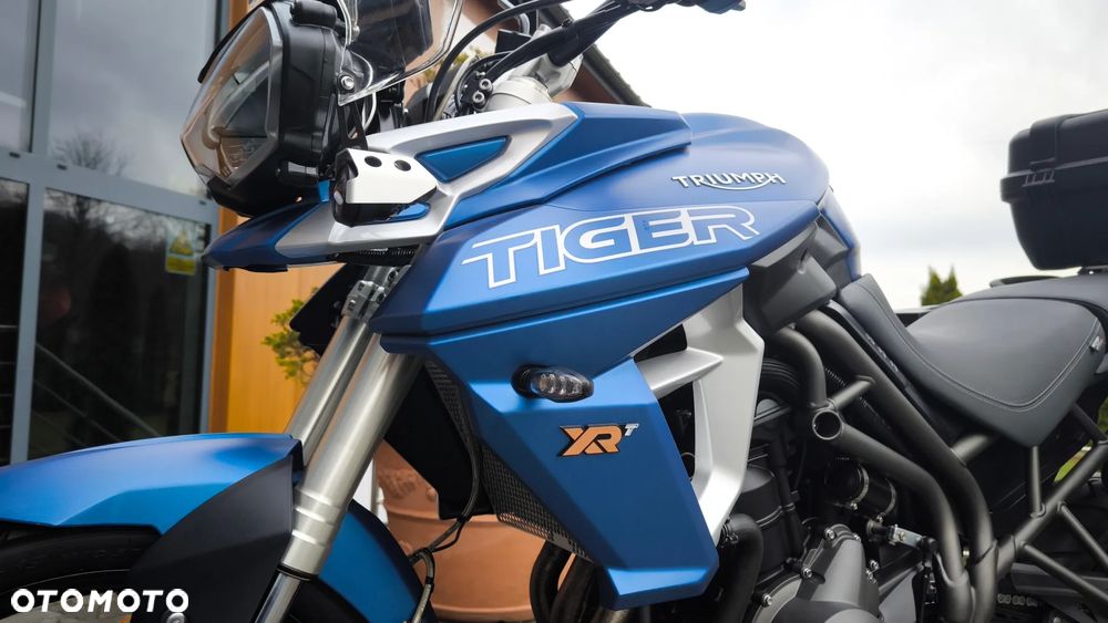 Triumph Tiger - 19