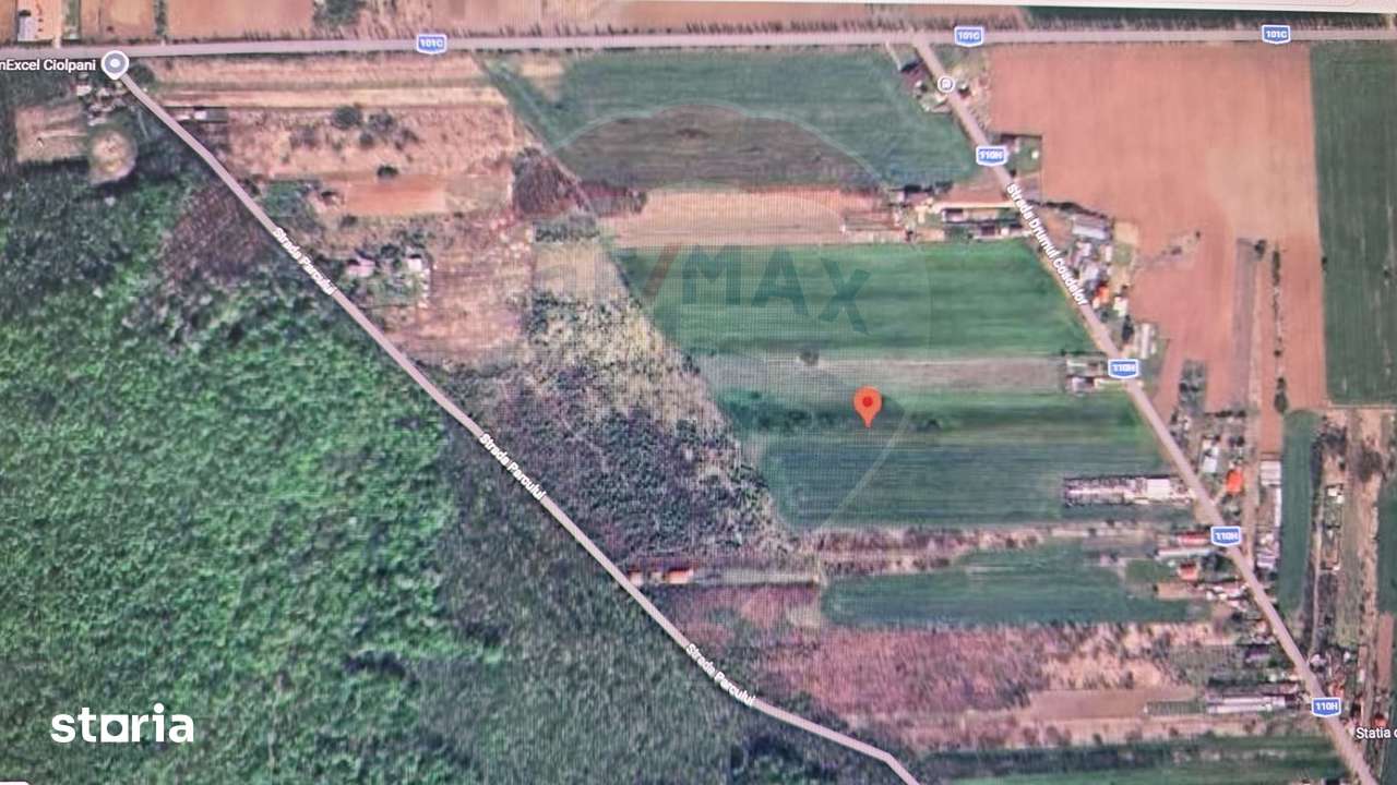 Teren 704 mp Silistea Snagovului vecinatate Padurea Snagov - Imagine principală: 3/6