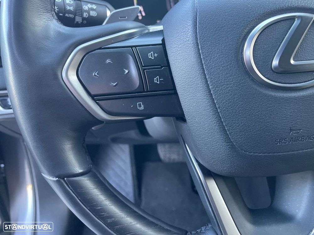 Lexus RX 450h - 24