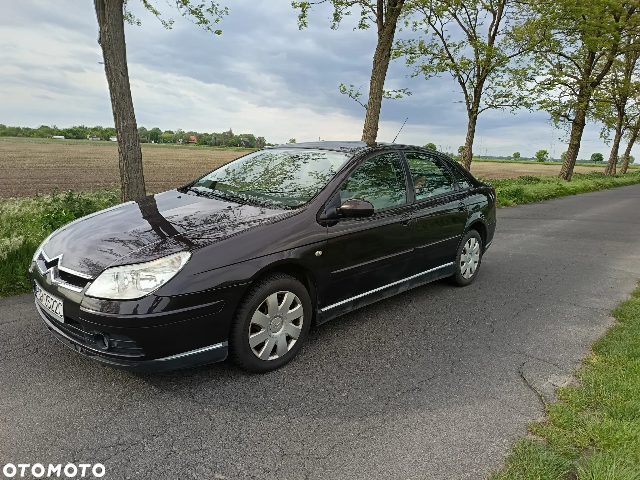 Citroën C5 II 1.8i 16V SX - 3