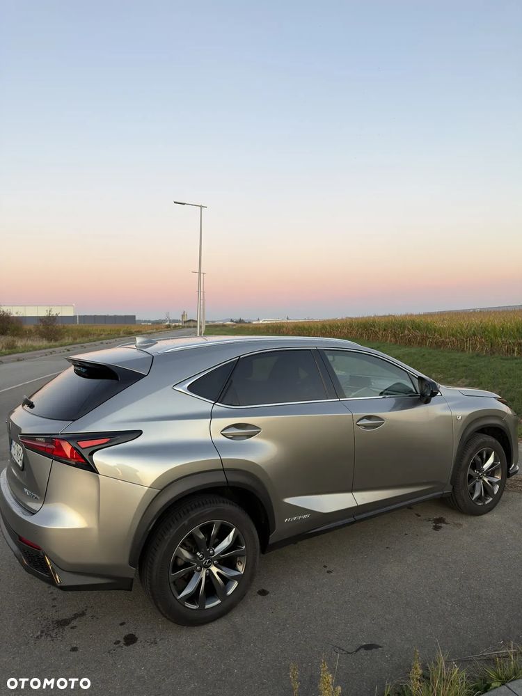 Lexus NX - 1