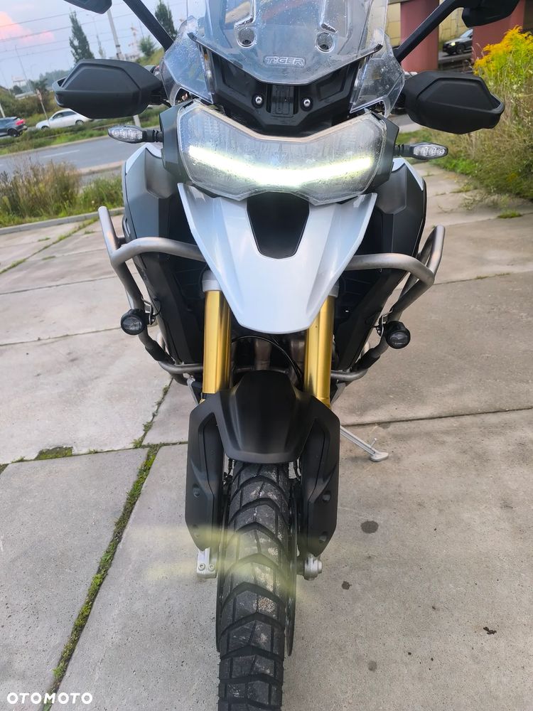Triumph Tiger - 3