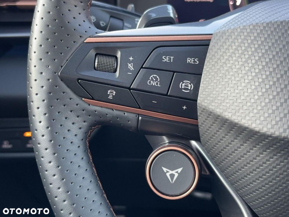 Cupra Terramar - 21