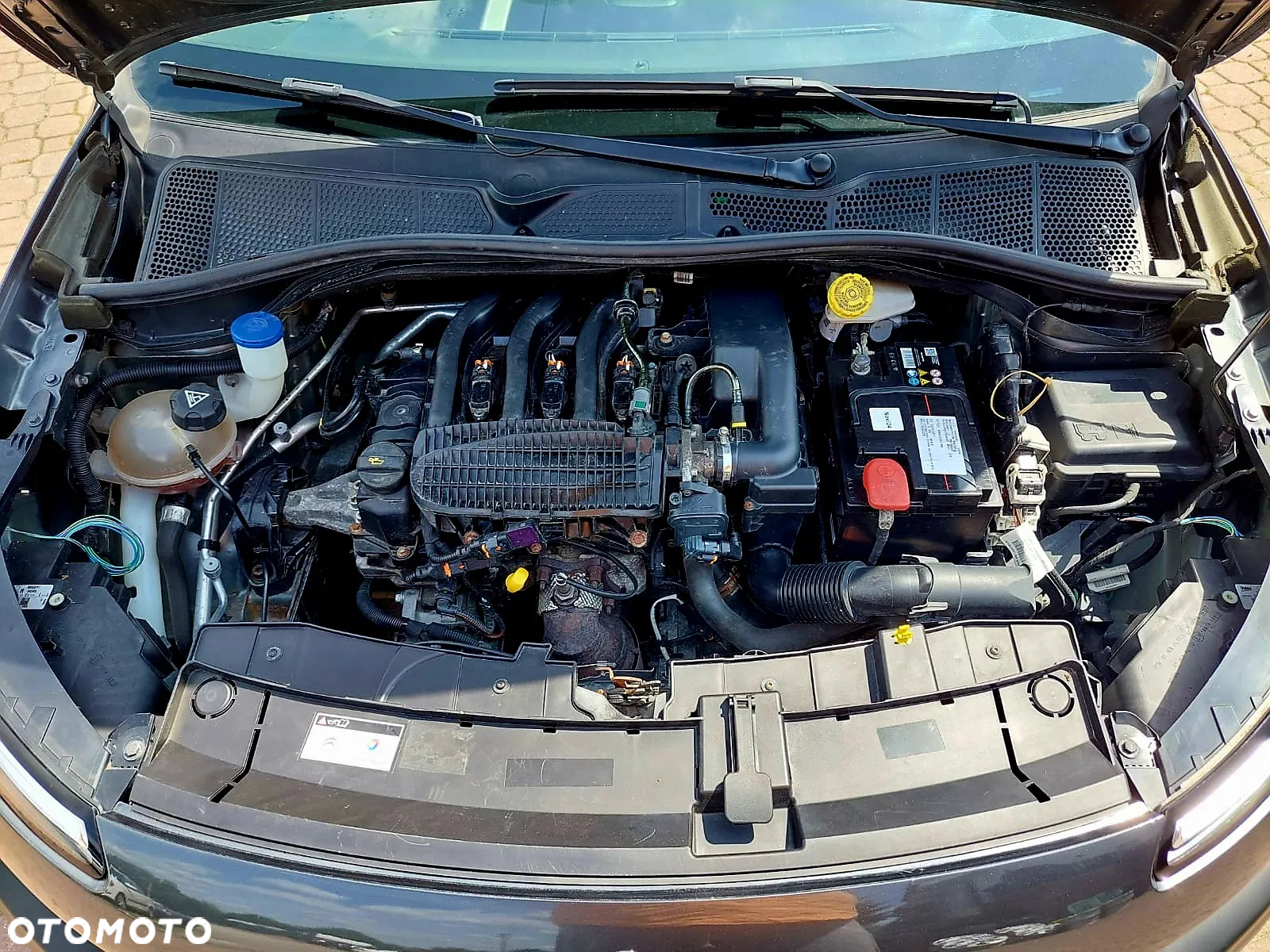 Citroën C4 Cactus PureTech 82 Business Class - 19