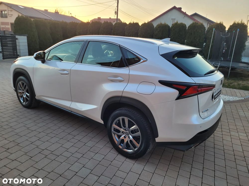 Lexus NX 300 Business Edition AWD - 12