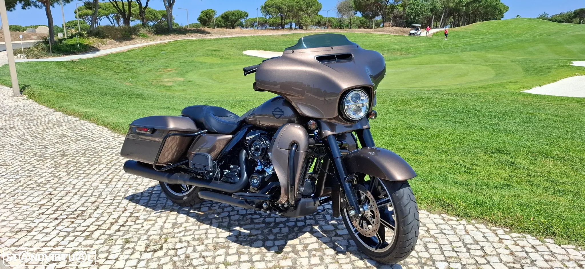 Harley-Davidson Electra Ultra limited - 1