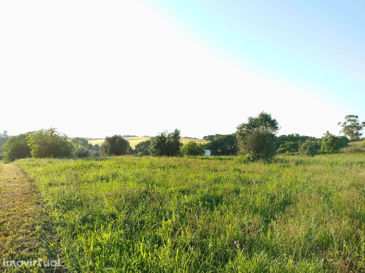 Terreno, 12 560 m², Alcanhões - Grande imagem: 2/9