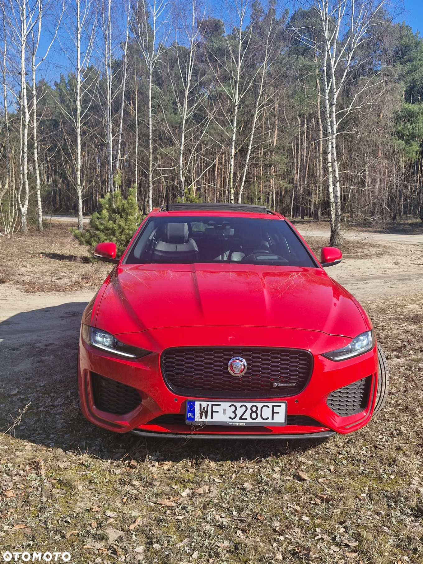 Jaguar XE 2.0 P300 AWD R-Dynamic S - 7