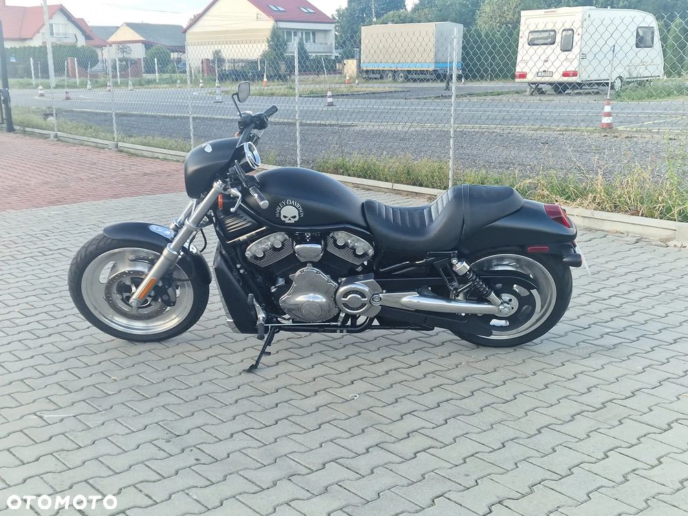 Harley-Davidson V-Rod Street Rod - 2