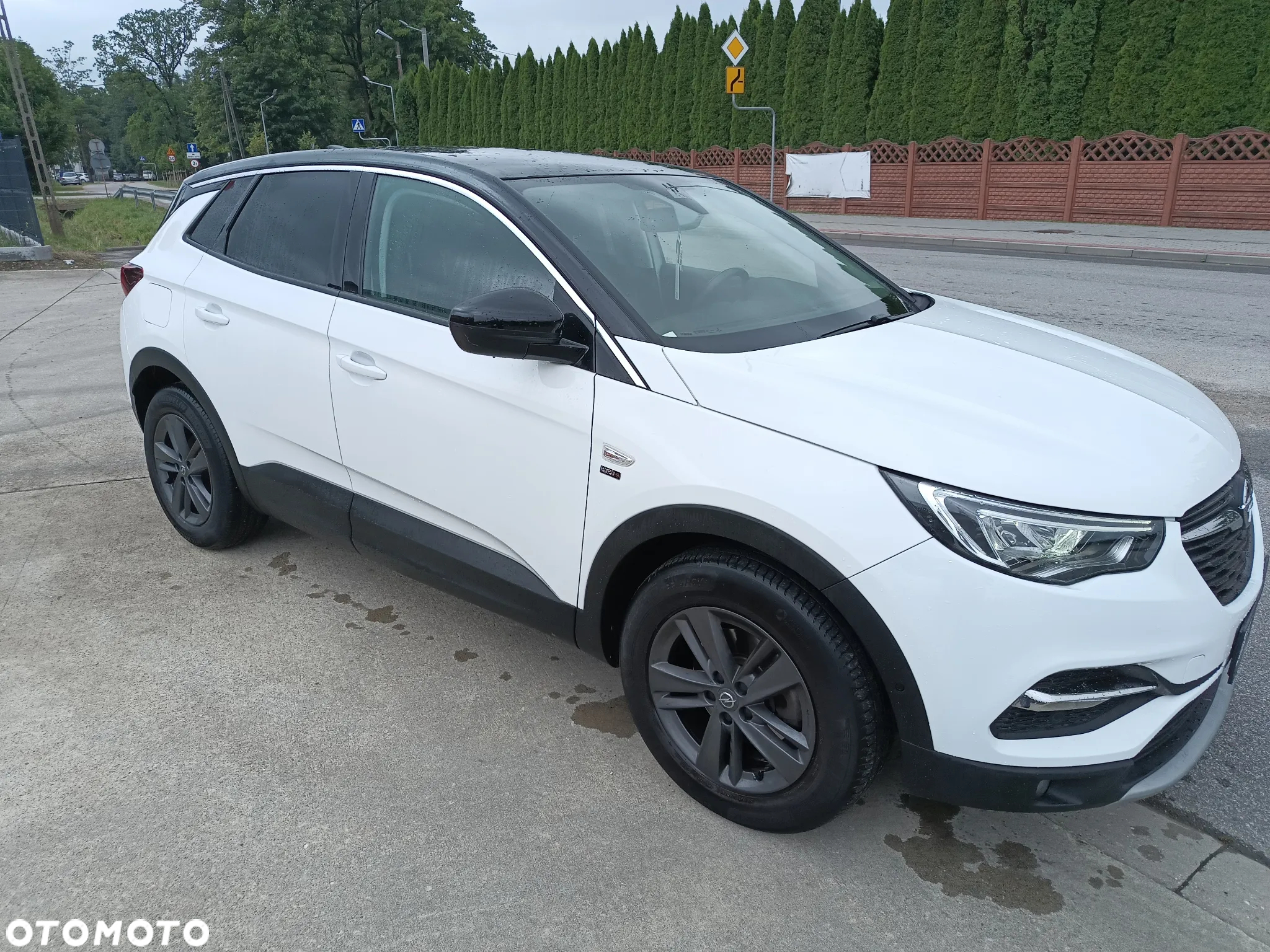 Opel Grandland X 1.2 T GPF Edition Business Pack S&S - 4