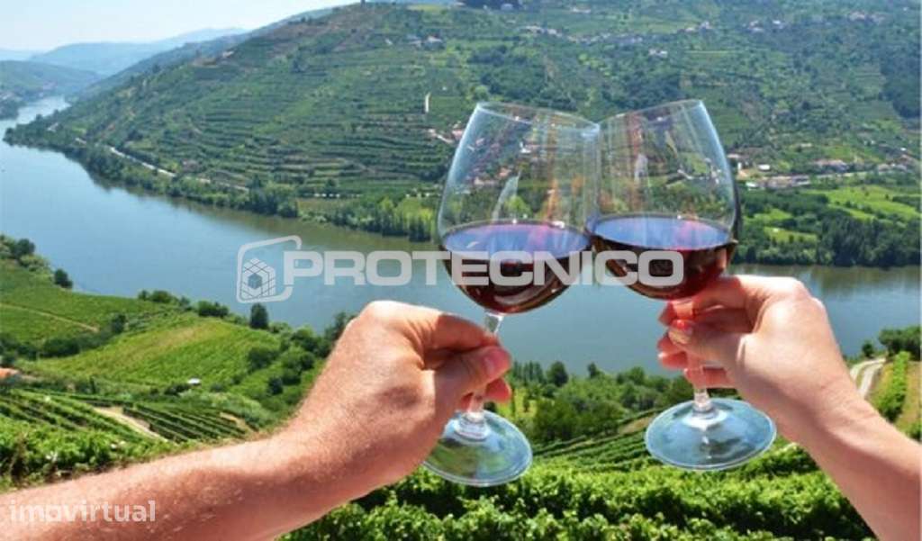 Hotel 5 estrelas de luxo para venda – Região do Douro - Grande imagem: 3/3