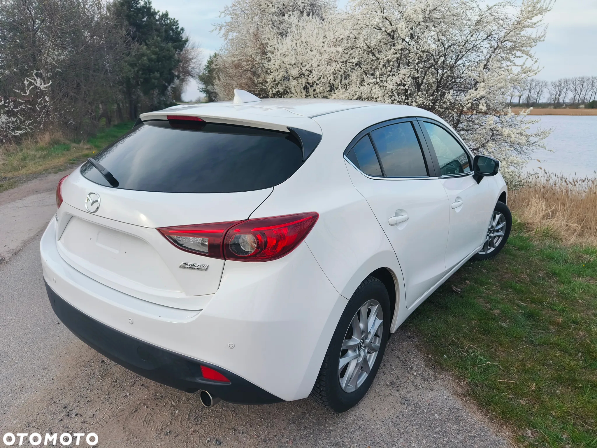 Mazda 3 1.5 D Skyenergy - 11