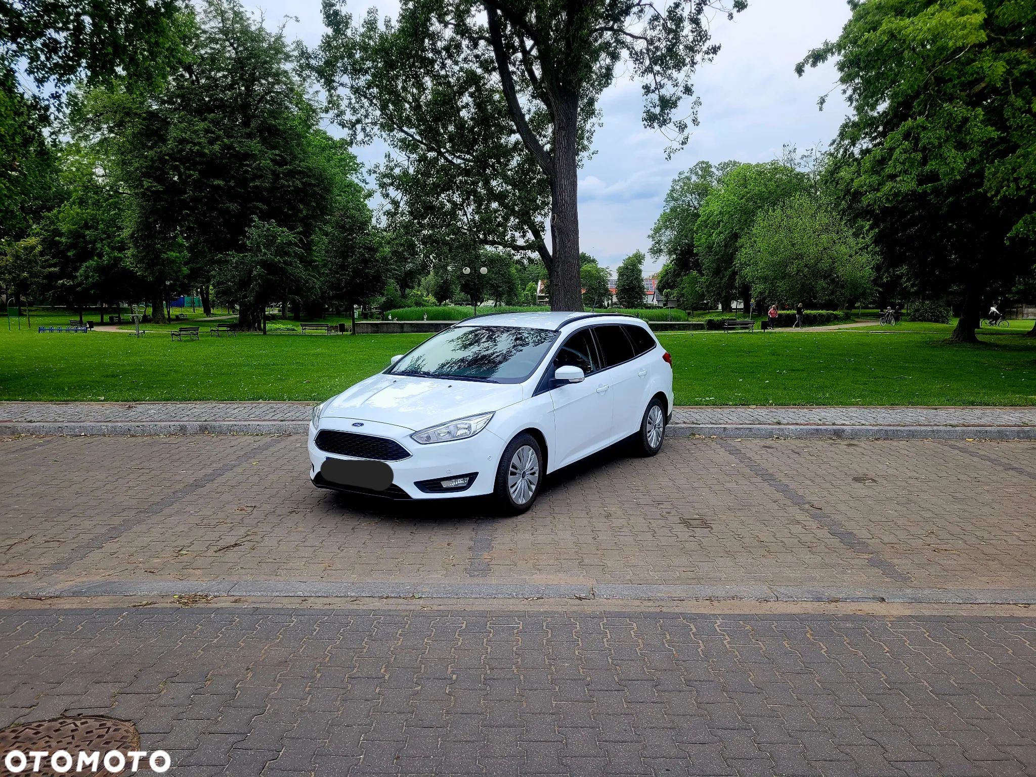 Ford Focus - 1