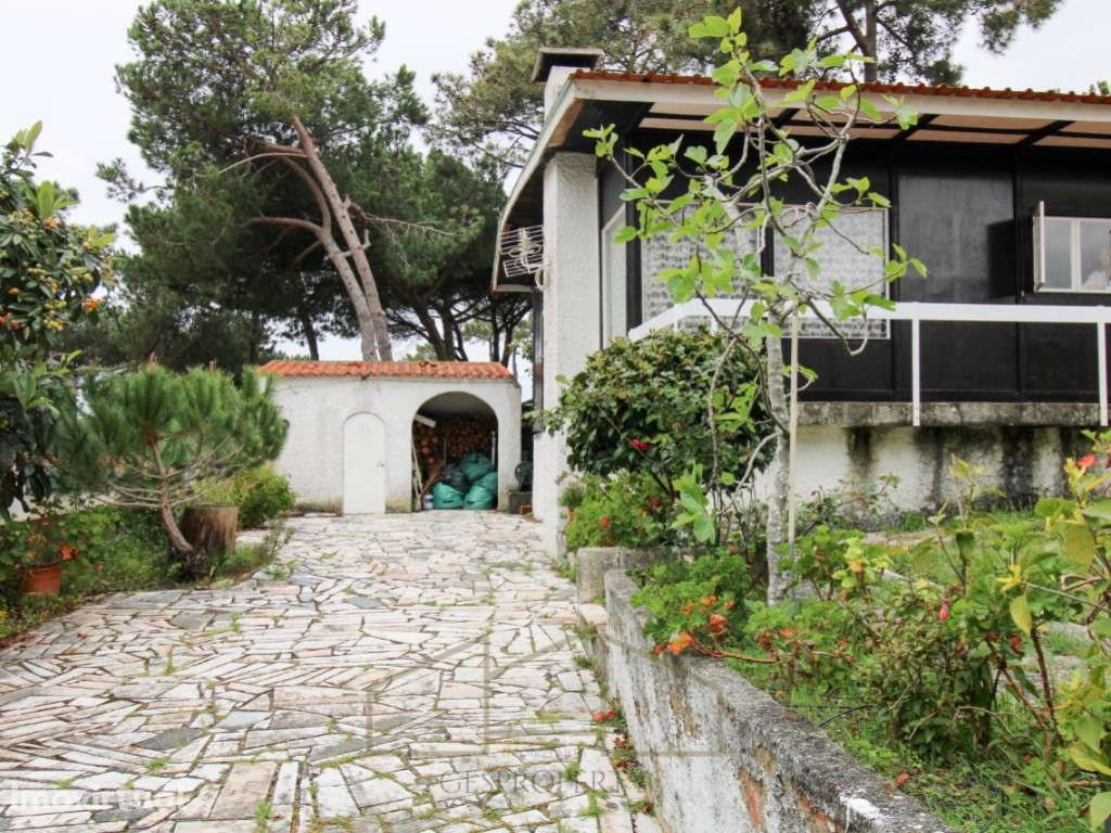 Casa de Madeira, em lote com 400m2, na Lagoa de Albufeira - Sesimbra - Grande imagem: 2/40