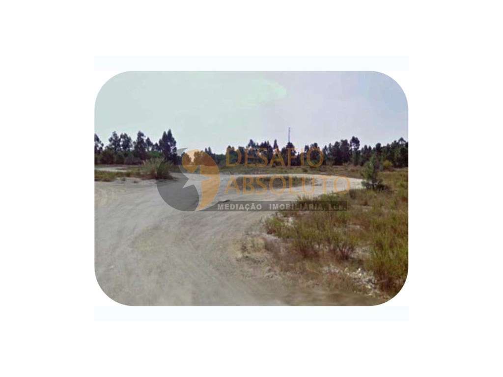 Terreno Rústico 109.000m2 - Pegões - Montijo - Grande imagem: 2/5