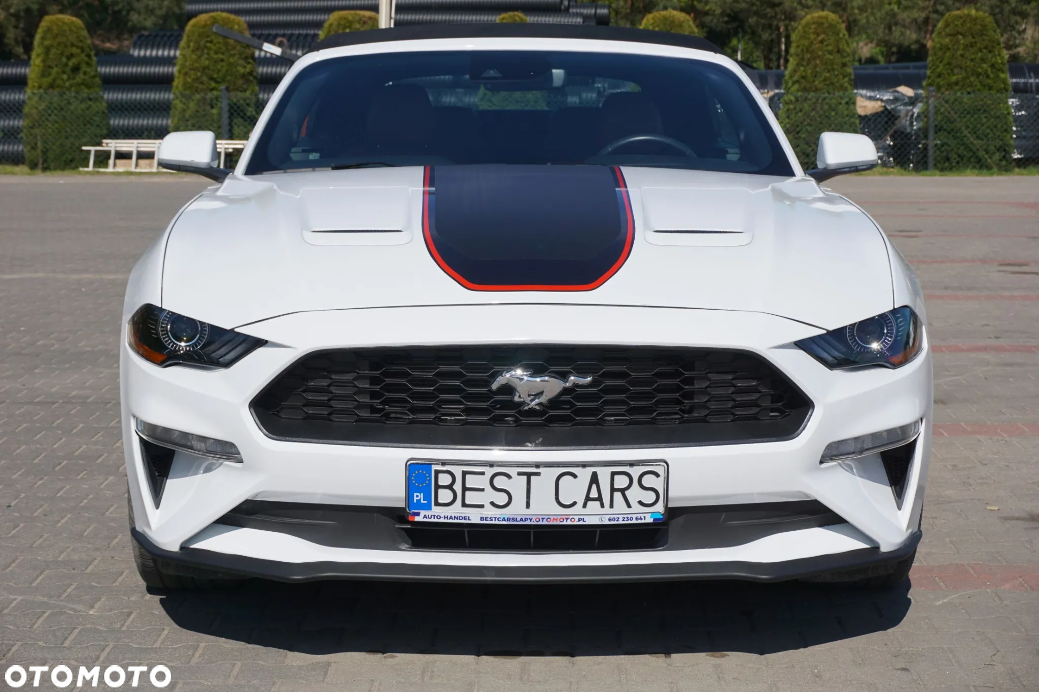 Ford Mustang Cabrio 2.3 Eco Boost - 2