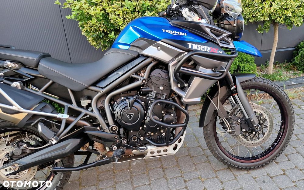 Triumph Tiger - 22