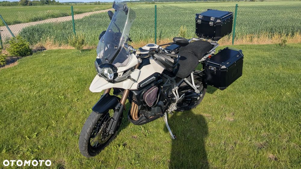 Triumph Tiger - 2