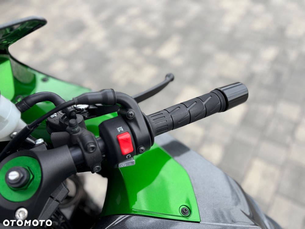 Kawasaki ZZR - 19