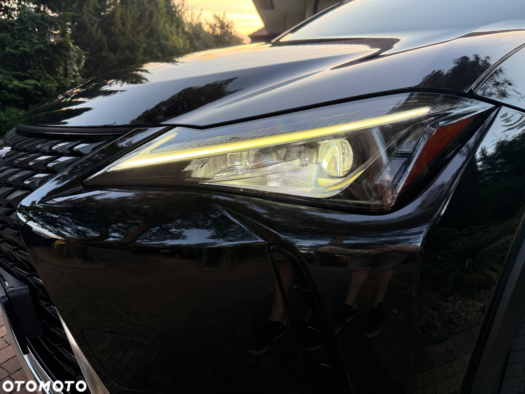 Lexus UX 250h Business Edition - 9