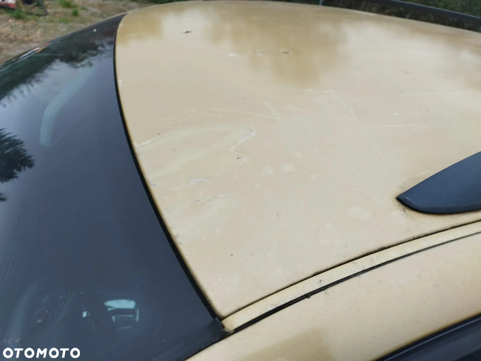 Volkswagen Passat - 34