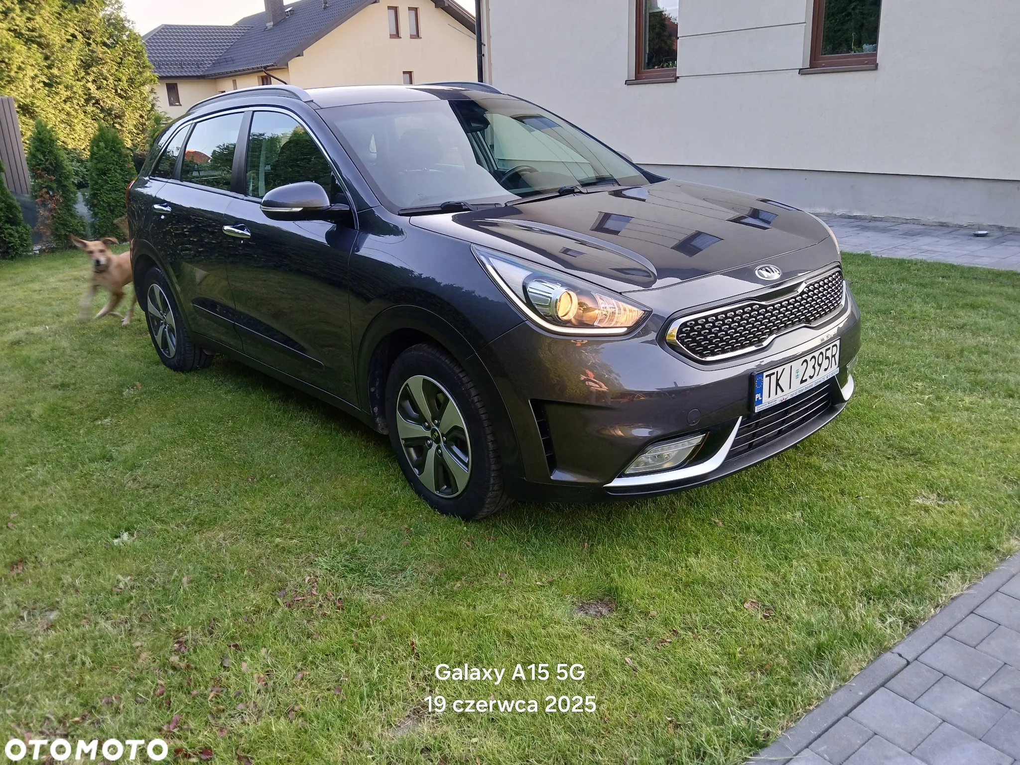 Kia Niro 1.6 GDI Hybrid Business Line - 13