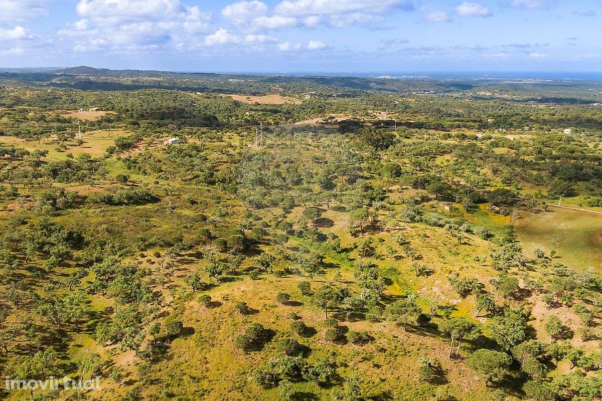 Terreno  para venda - Grande imagem: 3/14