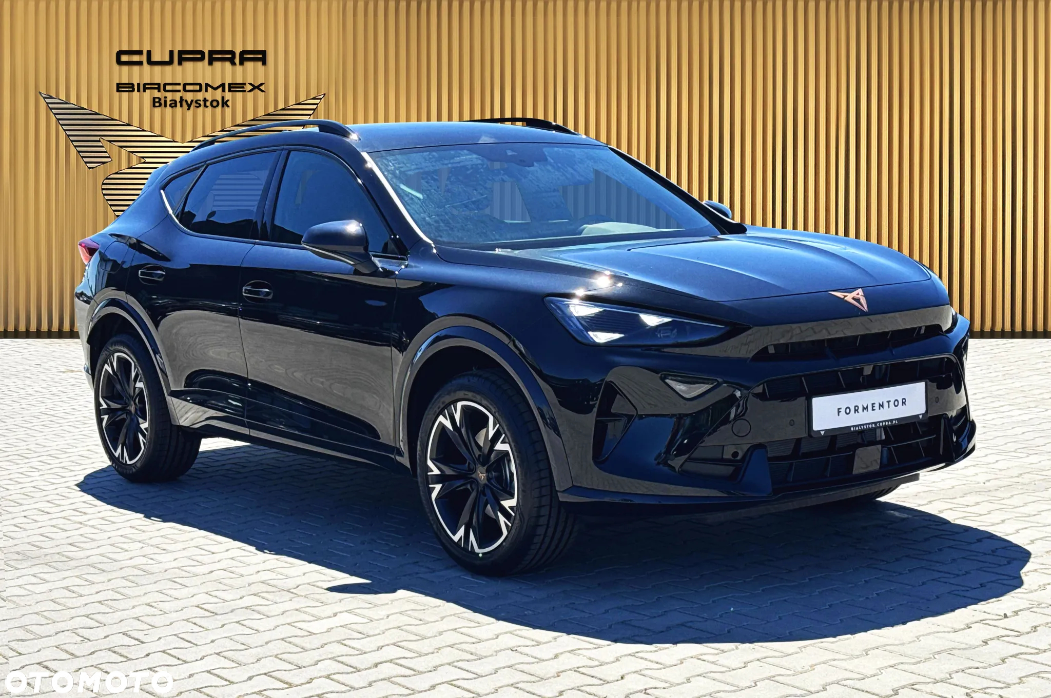 Cupra Formentor 1.5 TSI DSG - 8