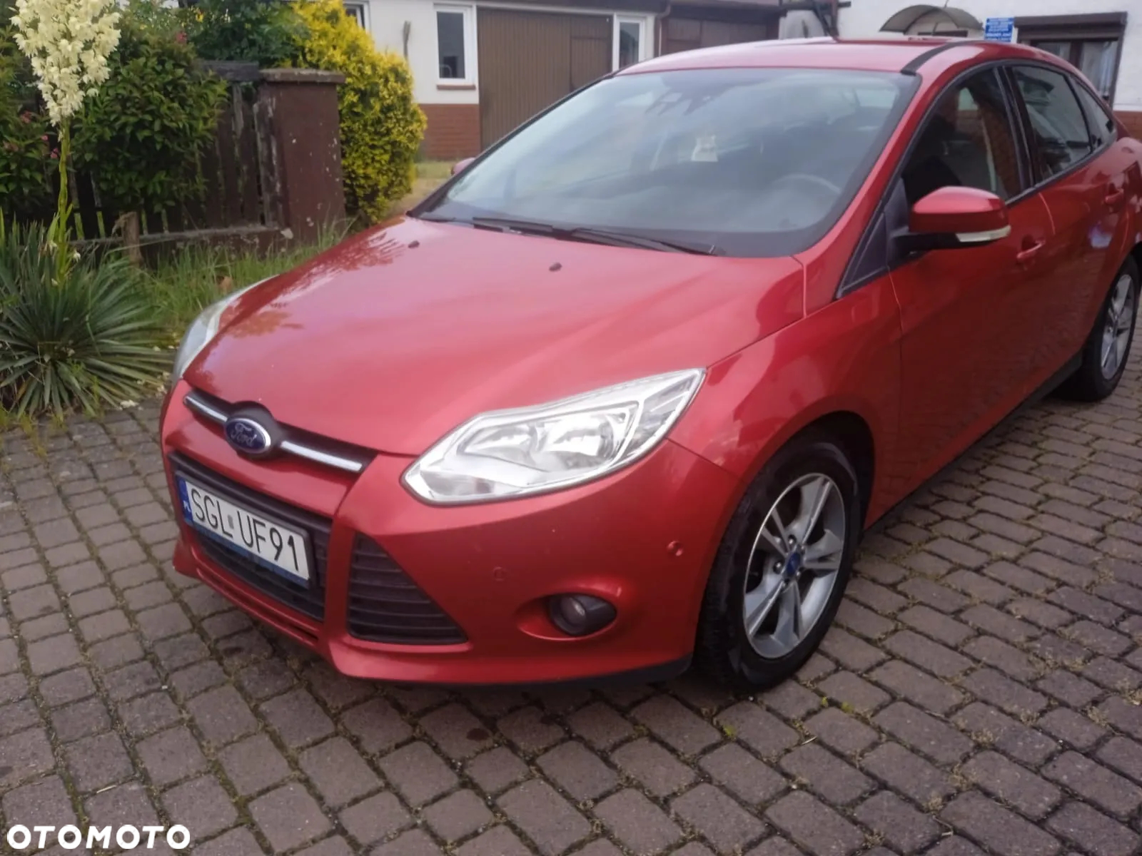 Ford Focus - 6