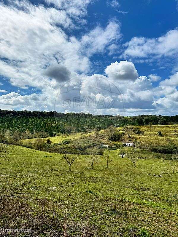 Terreno  para venda - Grande imagem: 3/14