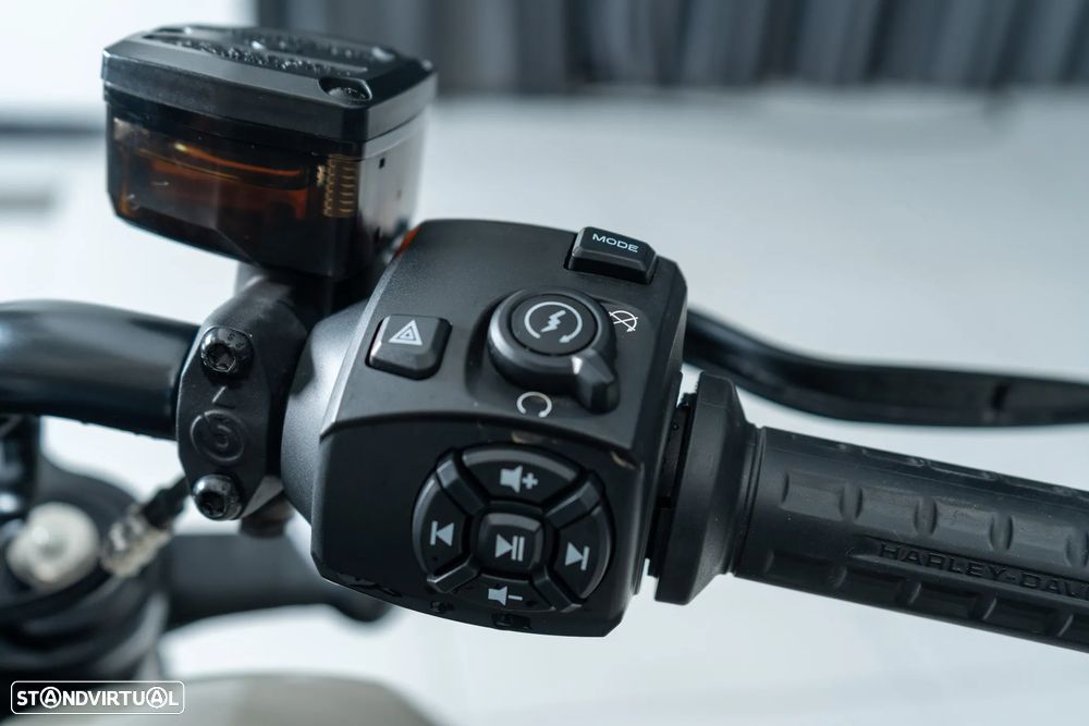 Harley-Davidson Sportster S - 9