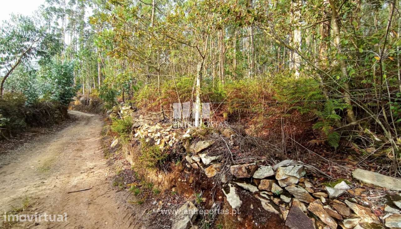 Venda de Terreno florestal, Ferreiró, Vila do Conde - Grande imagem: 5/13
