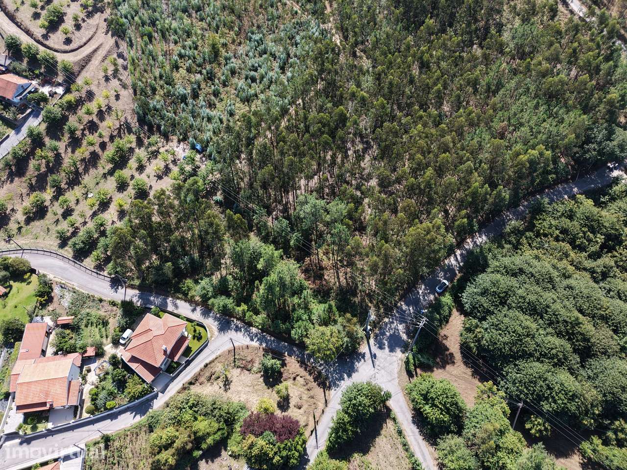 Terreno Florestal com 600 m de Frente de Estrada | Freiriz, Vila Verde - Grande imagem: 2/9