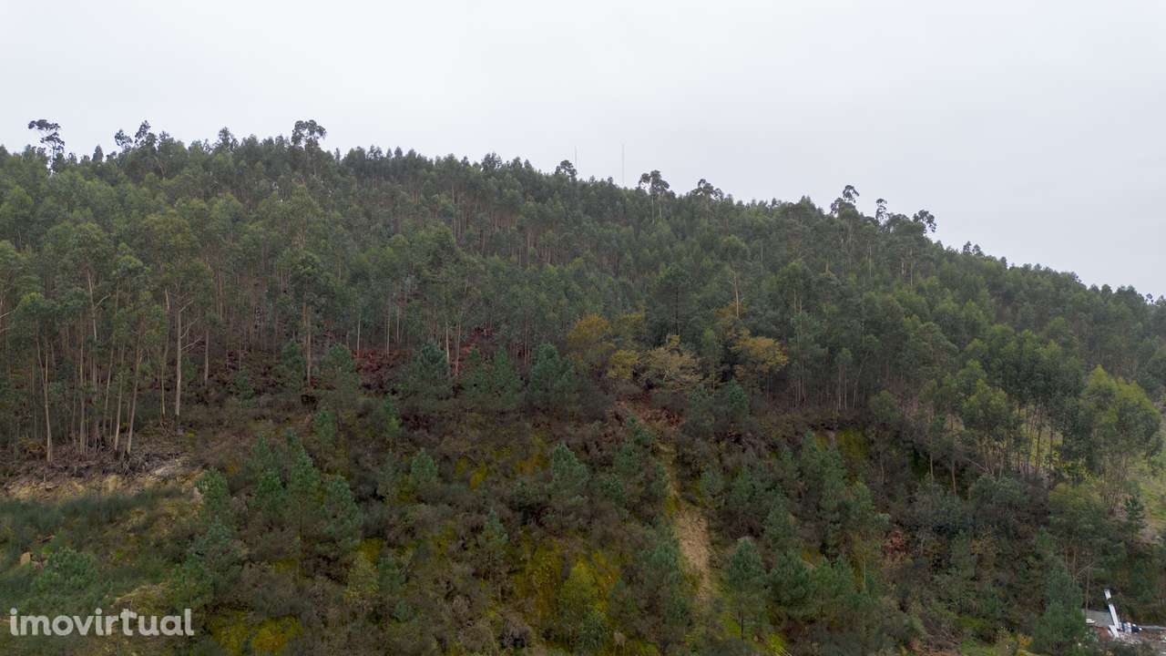 Terreno  Venda em Vandoma,Paredes - Grande imagem: 5/25