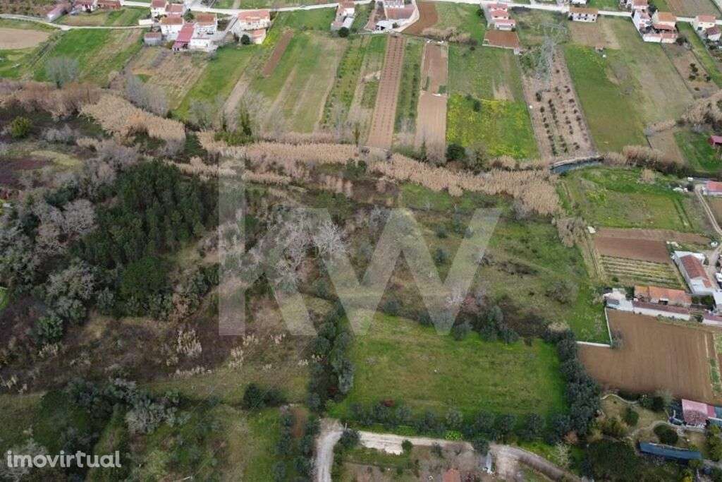 Terreno Rústico com acesso a um Ribeiro, 20.910 m2, Condeixa-a-Nova (Q - Grande imagem: 4/12
