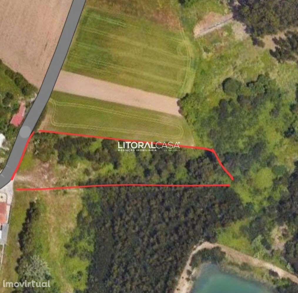 Terreno | Ervosas - Grande imagem: 2/2