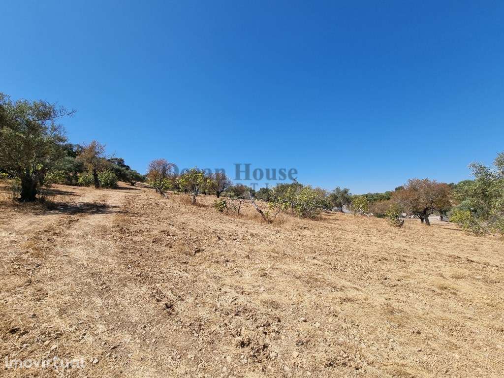 Terreno rústico com 14.400m2 em Santa Bárbara de Nexe - Faro - Grande imagem: 2/9
