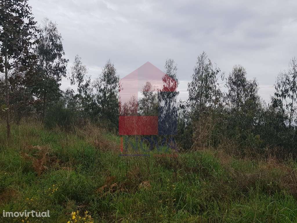 Vende-se Terreno, Marrancos - Grande imagem: 4/11