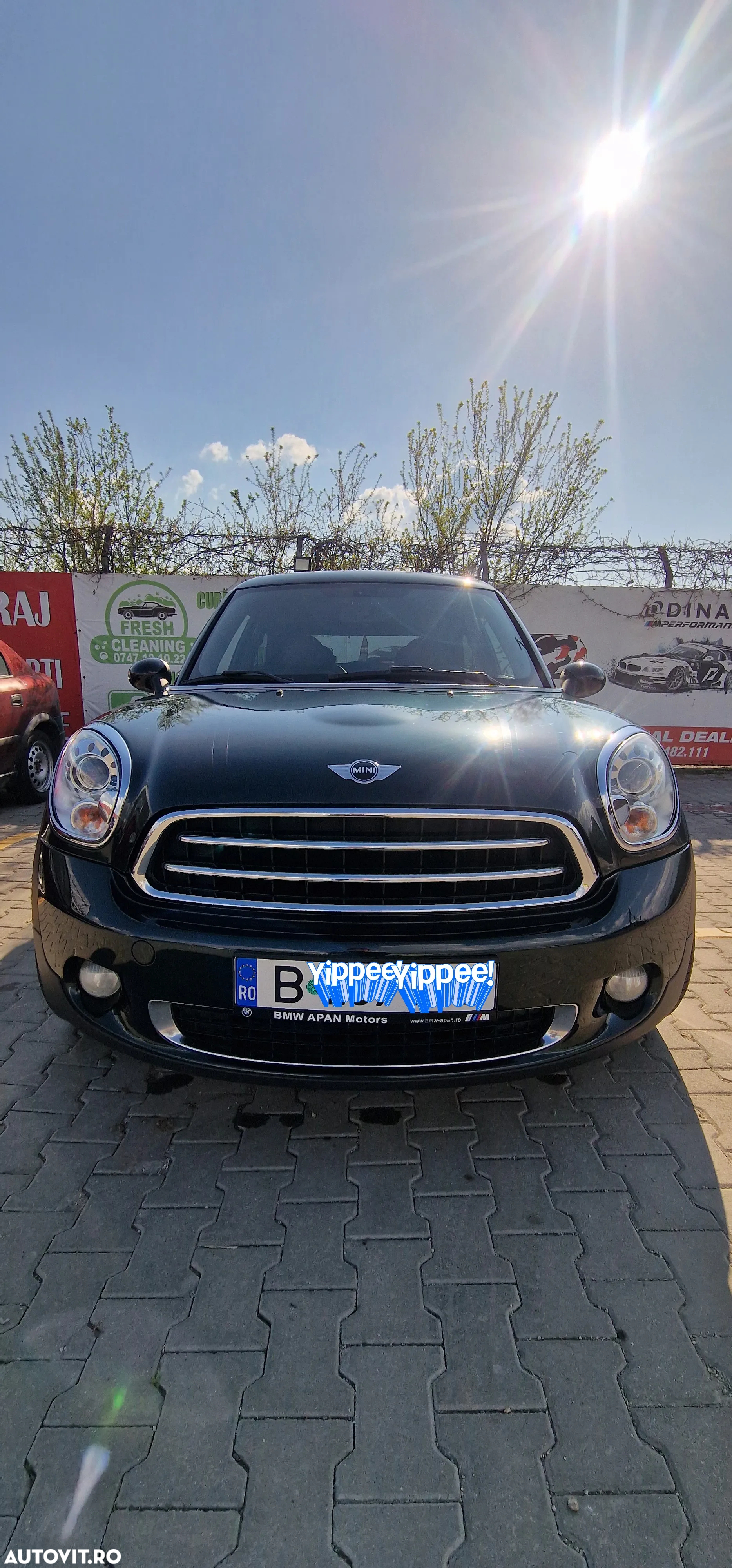 Mini Paceman - 12
