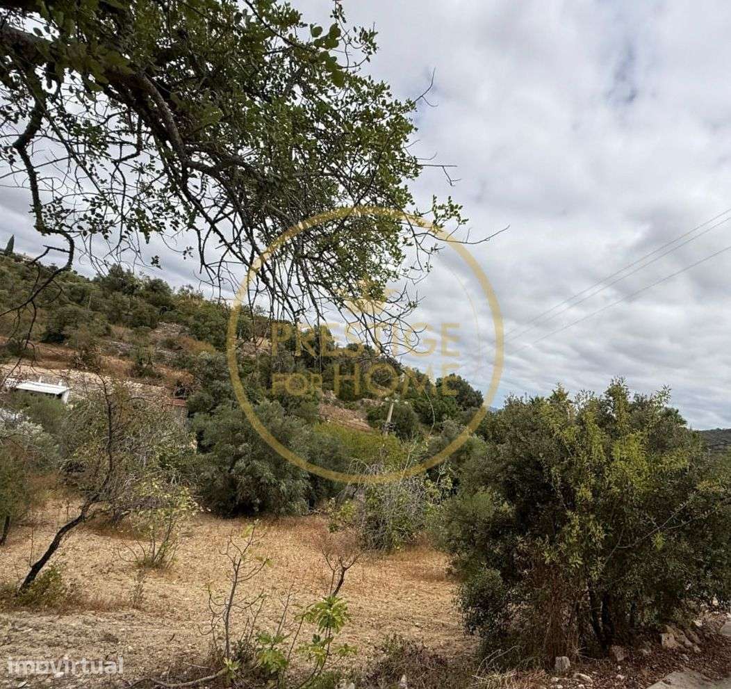 Oportunidade de Investimento: Terreno Agricola de 3.142 m² em Loulé,lo - Grande imagem: 4/7