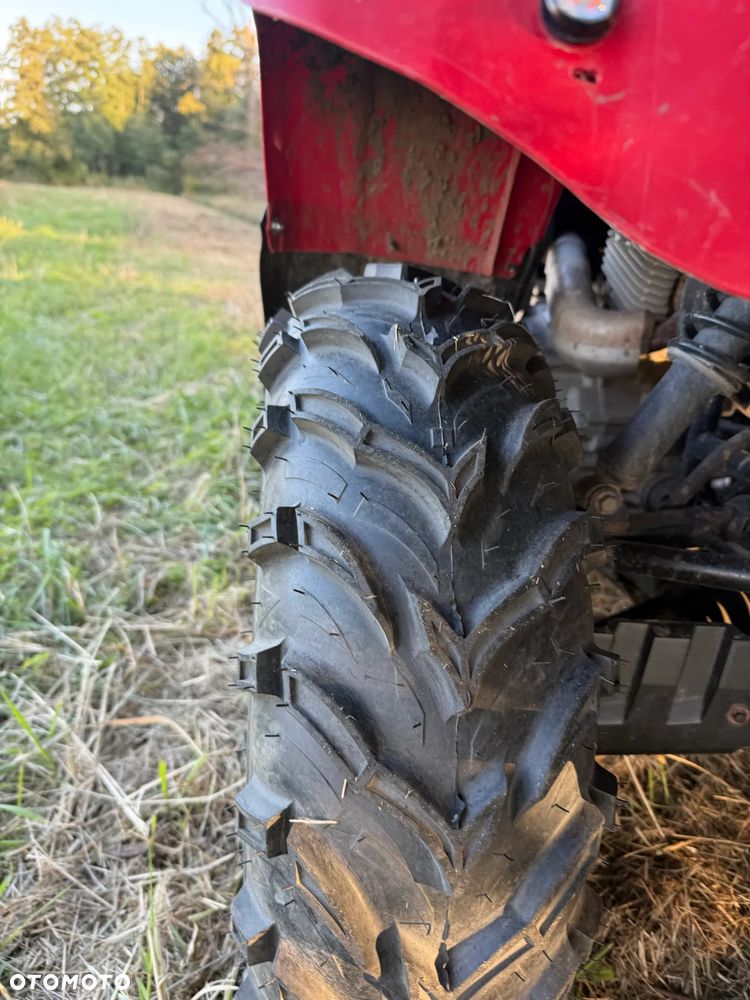 Suzuki Kingquad - 13