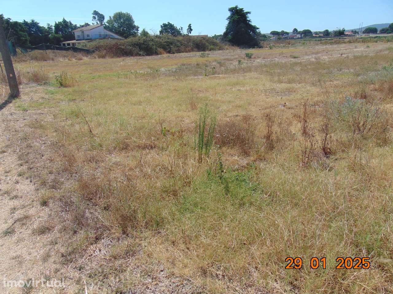 Terreno Rústico 5.000 m² - terrim -Pinhal Novo - Grande imagem: 3/5