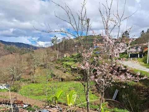 Terreno com mina de água - Grande imagem: 5/11