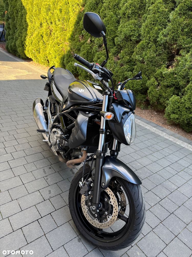 Suzuki Gladius - 1