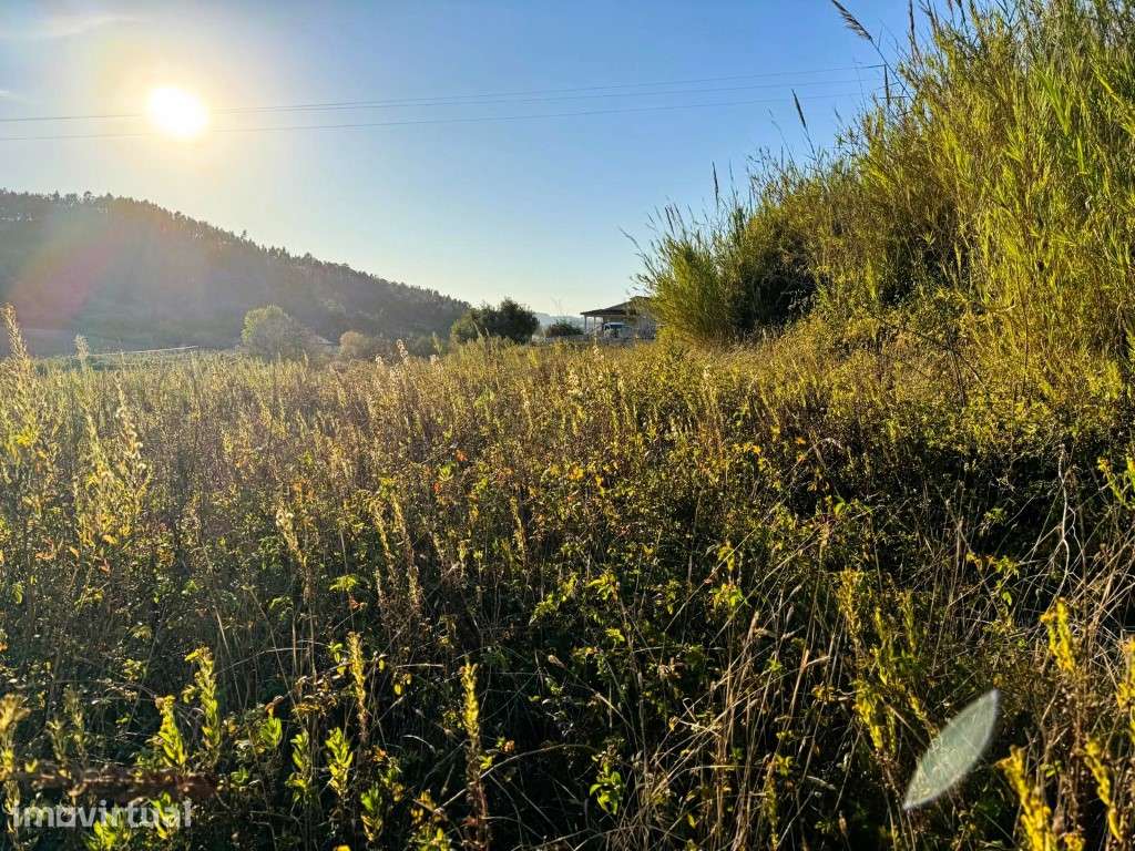 Terreno para Construção em Salir de Matos, Caldas da Rainha - Grande imagem: 2/6