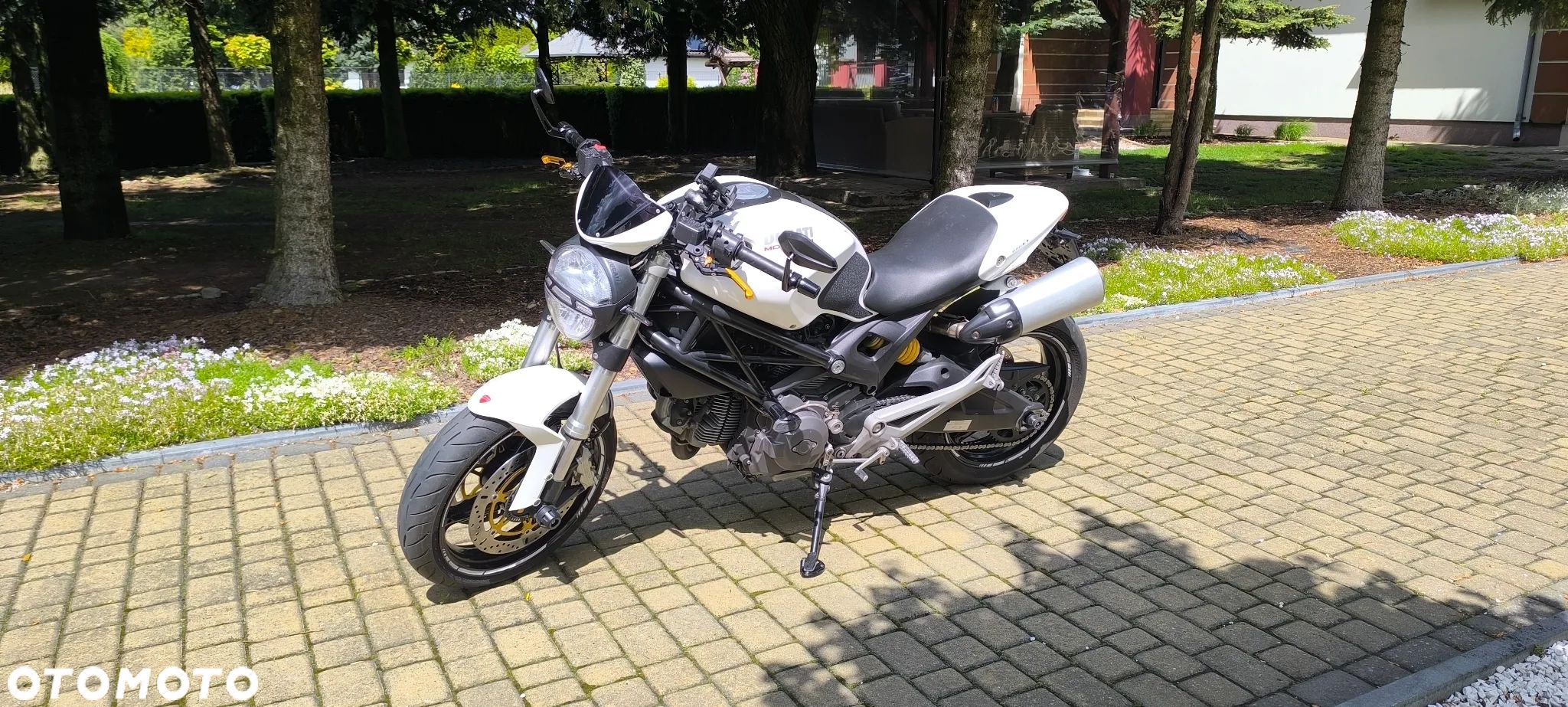 Ducati Monster - 1