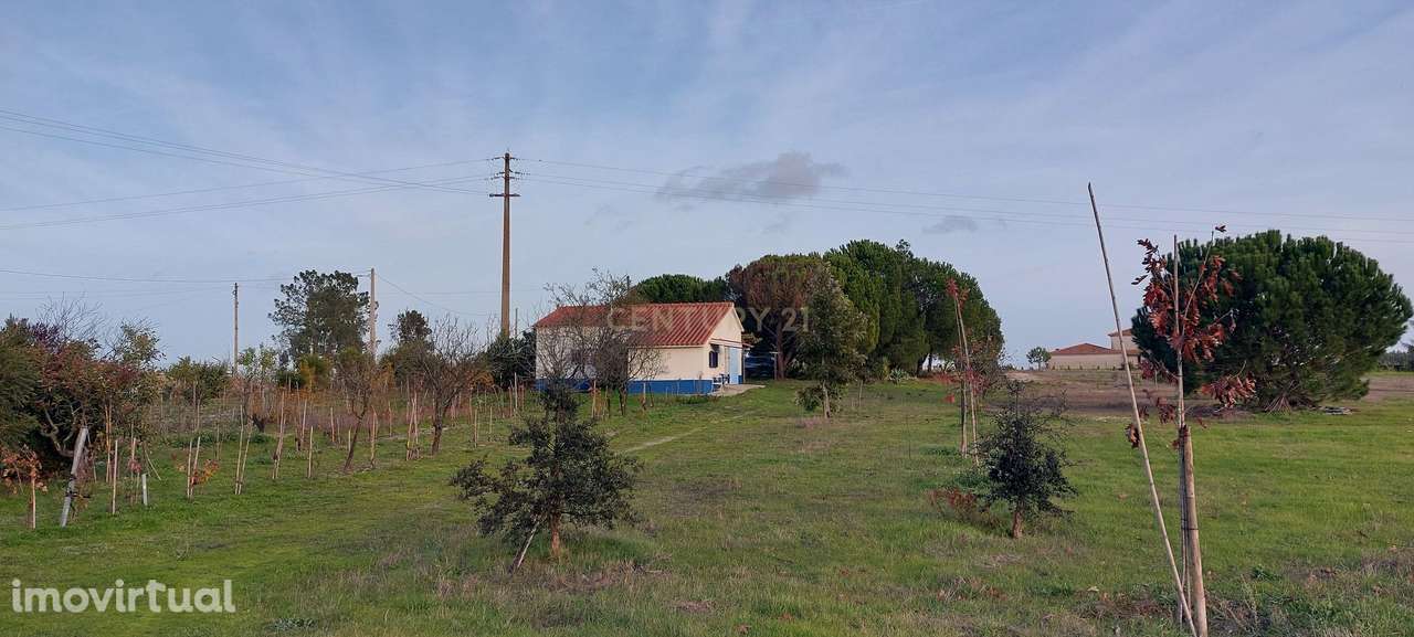 Quinta com Moradia para vender na Herdade de Almada em Foros de Almada - Grande imagem: 5/38