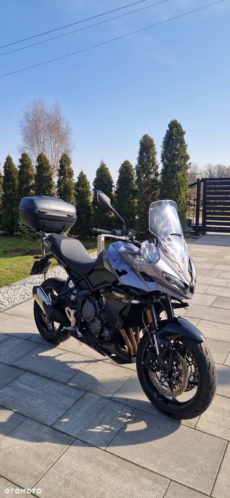 Triumph Tiger - 4