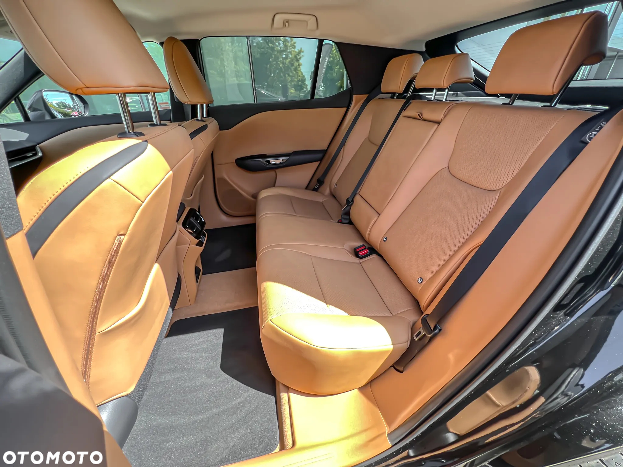 Lexus RZ 300e Prestige - 12