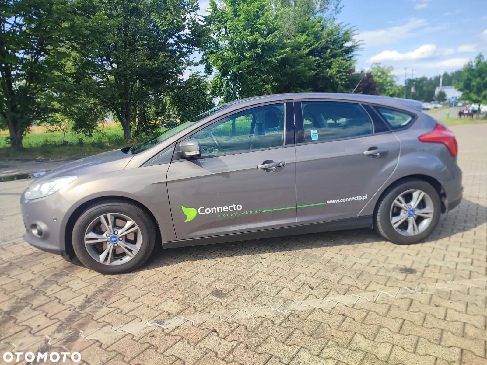 Ford Focus - 1